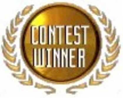 PlanetSourceCode Superior Coding Contest Winner